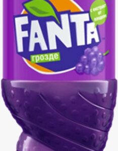 Fanta Raisin noir 1.5L